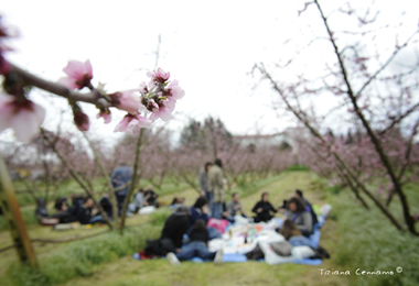 pasquetta_2013_selva_chiaiano_1